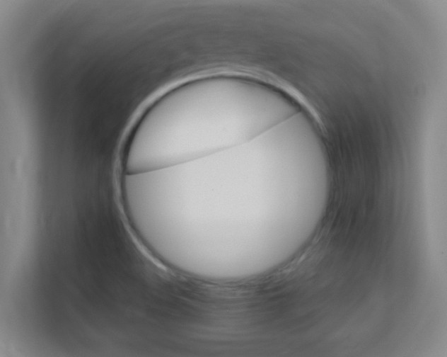 X0000113871508200909240955