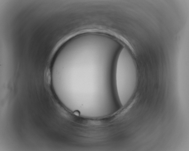 X0000113871509200909240955