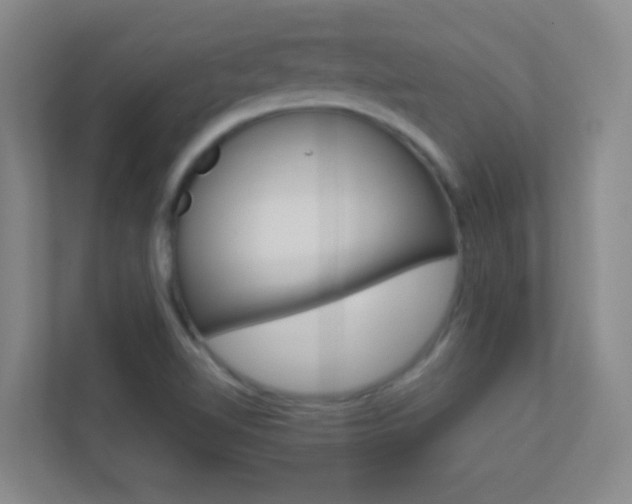 X0000113871510200909240955
