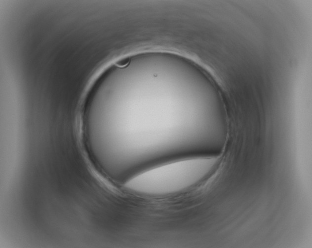 X0000113871511200909240955