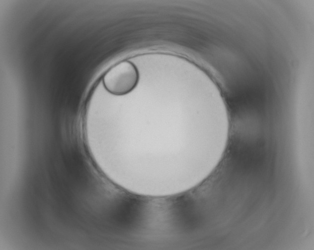X0000113871514200909240955