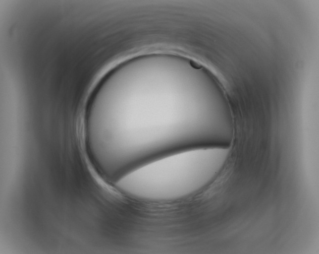 X0000113871515200909240955
