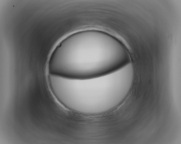 X0000113871516200909240956