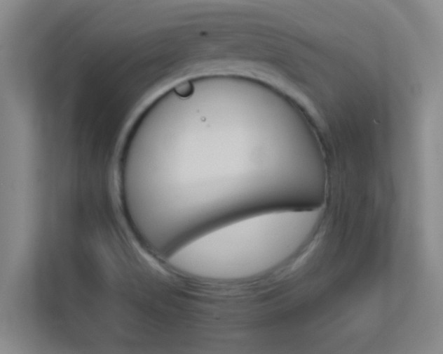 X0000113871517200909240956