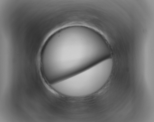 X0000113871519200909240956