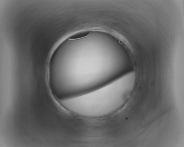 X0000113871520200909240956