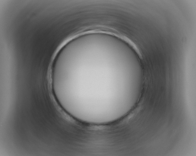 X0000113871522200909240956