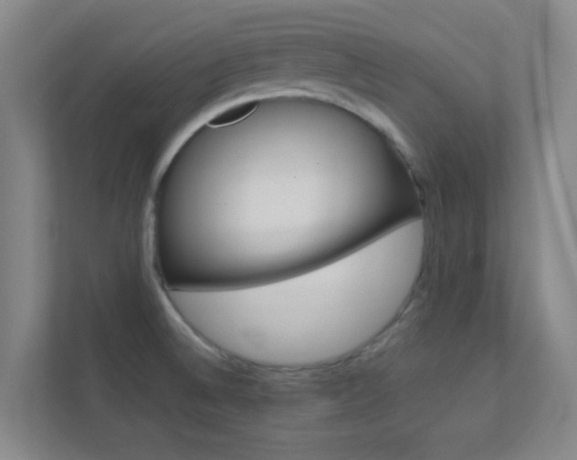 X0000113871524200909240956