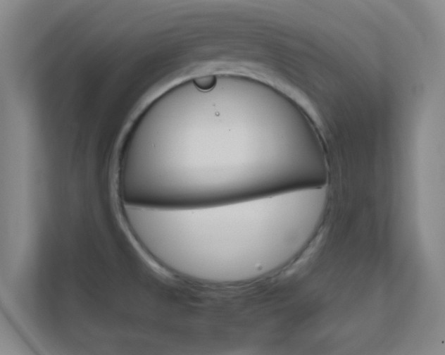 X0000113871525200909240956