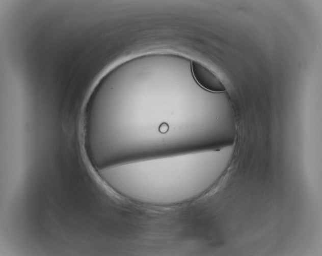 X0000113871526200909240956