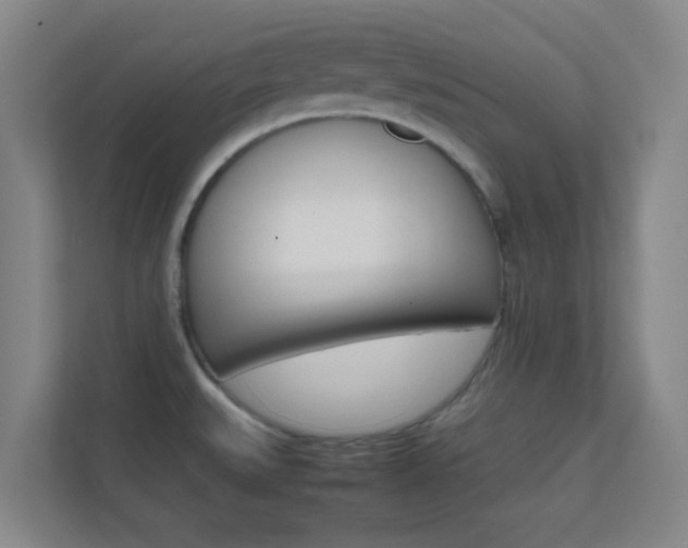 X0000113871527200909240956