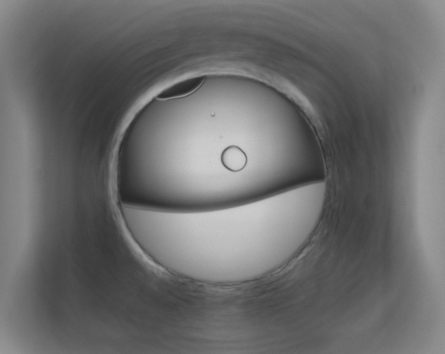 X0000113871528200909240956