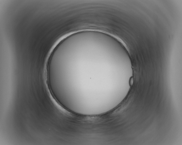 X0000113871531200909240956