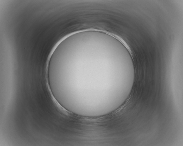 X0000113871532200909240956