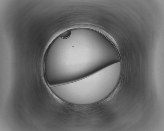 X0000113871533200909240956
