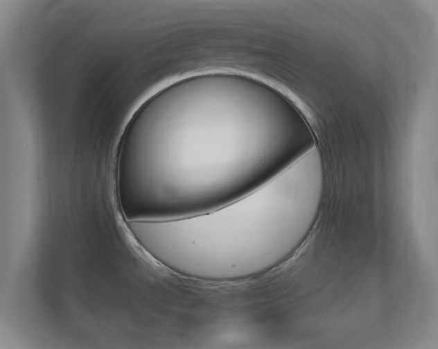 X0000113871534200909240956