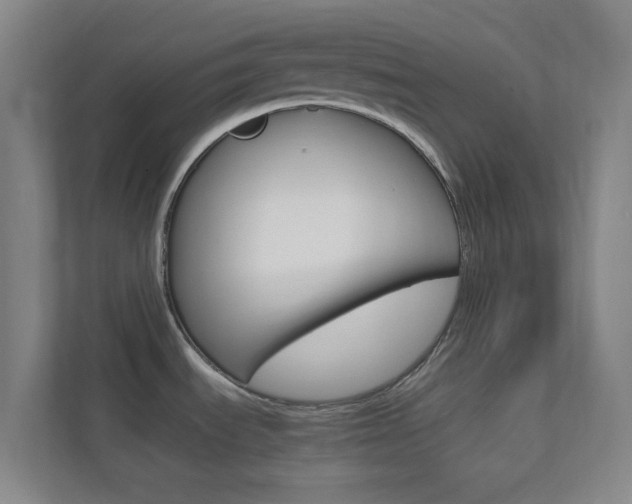X0000113871535200909240956