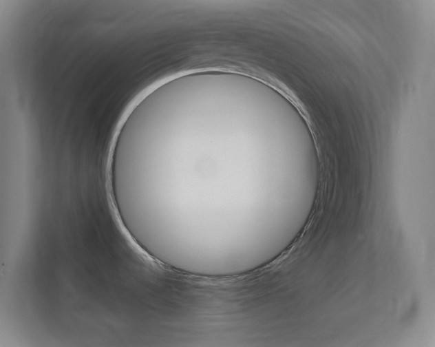 X0000113871536200909240956