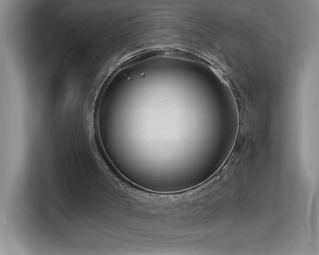 X0000113870002200909241341