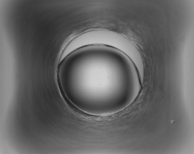 X0000113870003200909241341