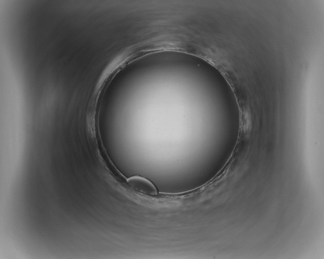 X0000113870004200909241341