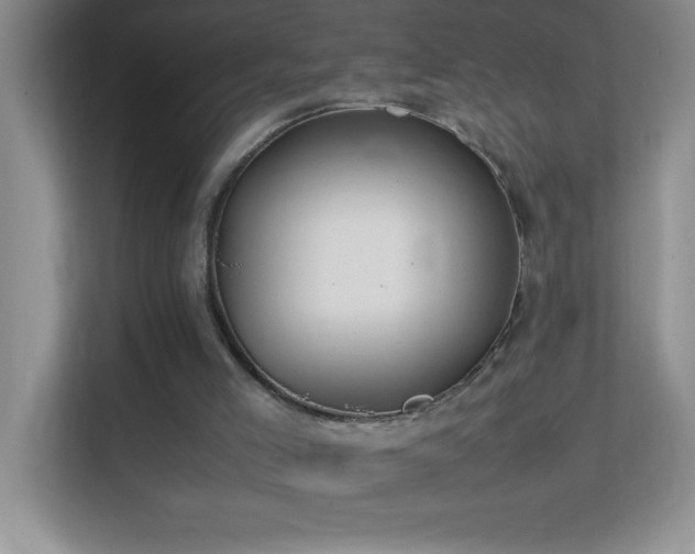 X0000113870005200909241341