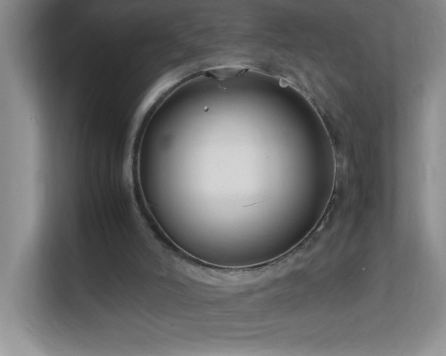 X0000113870006200909241341