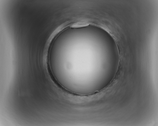 X0000113870007200909241341