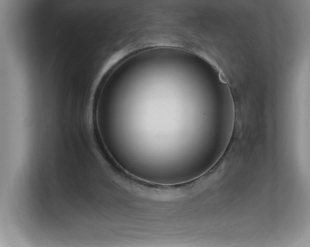 X0000113870008200909241341