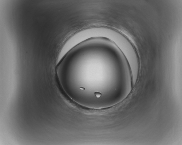 X0000113870009200909241341