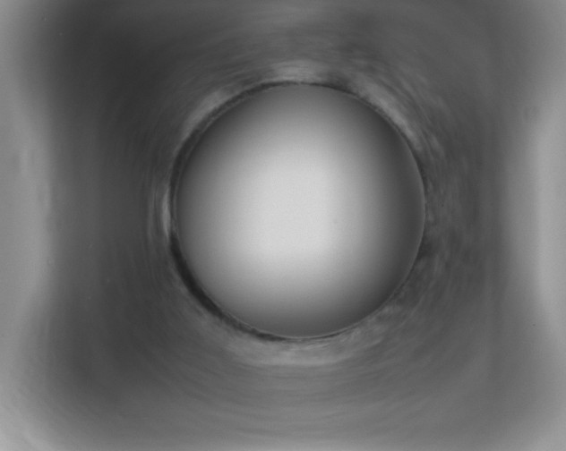 X0000113870011200909241341