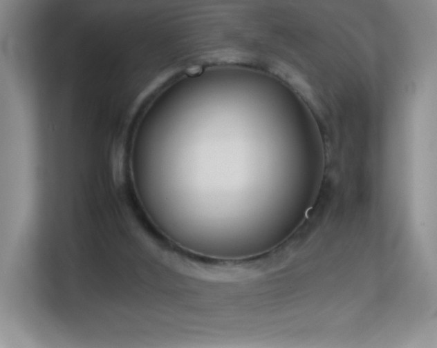 X0000113870012200909241341