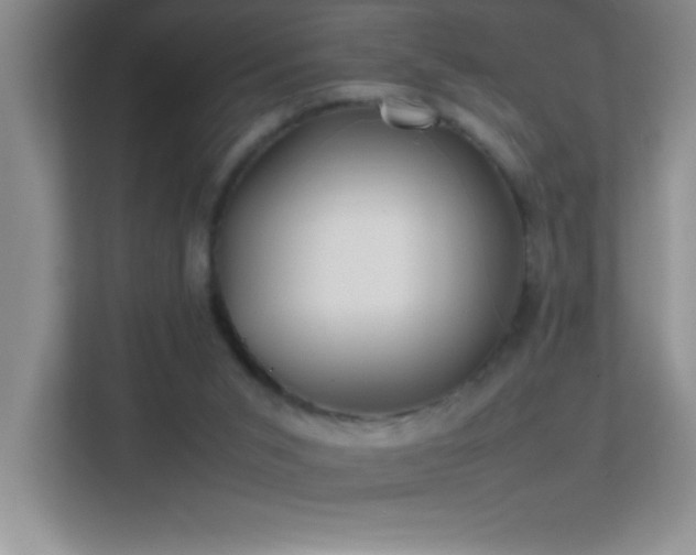 X0000113870015200909241341