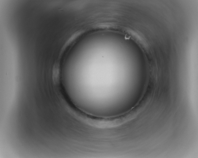 X0000113870016200909241341