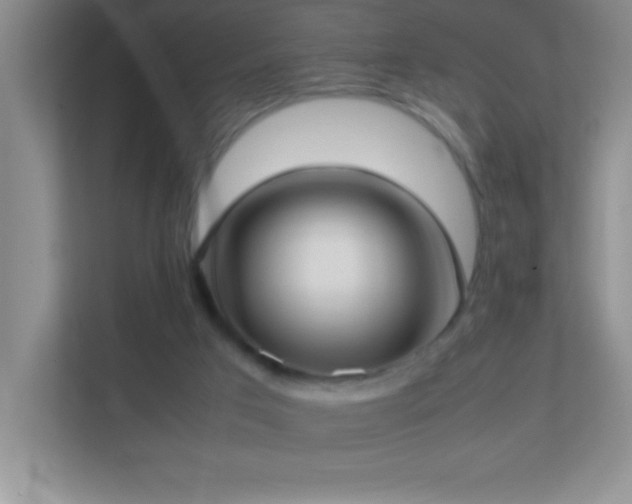 X0000113870017200909241341