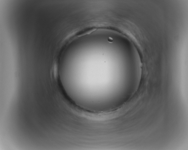 X0000113870019200909241341