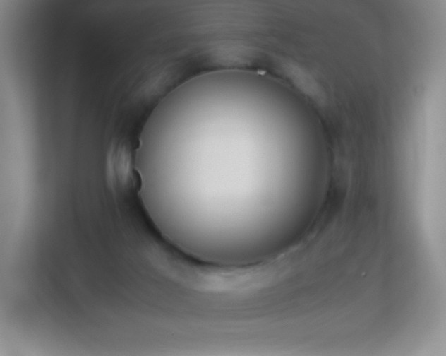 X0000113870021200909241341