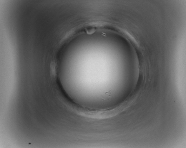 X0000113870023200909241341