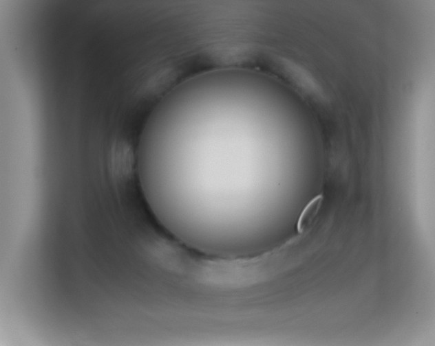 X0000113870025200909241341