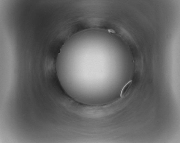 X0000113870029200909241341