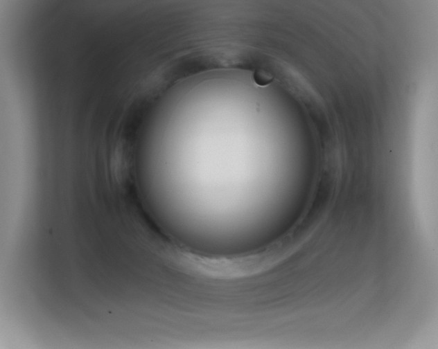 X0000113870030200909241341