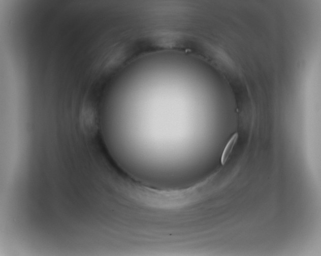 X0000113870031200909241341