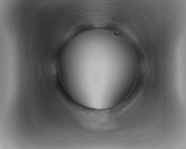 X0000113870032200909241341