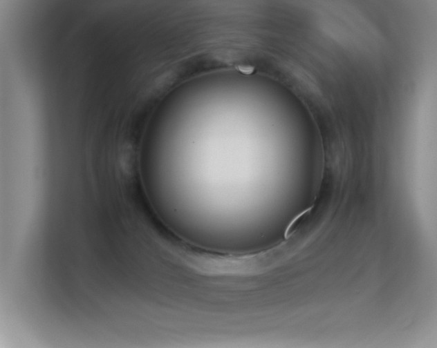 X0000113870036200909241341