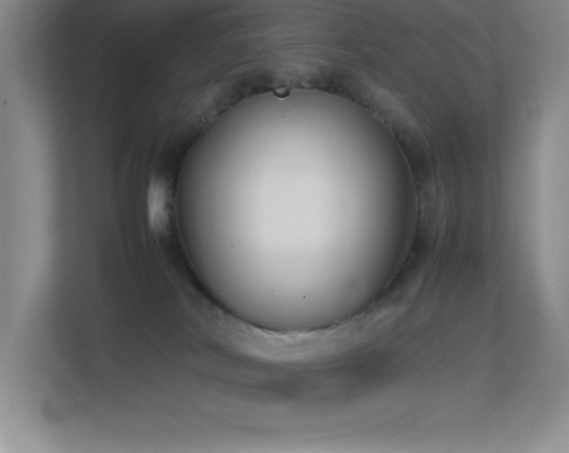 X0000113870038200909241341