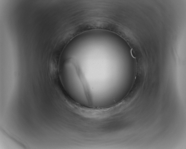 X0000113870040200909241341