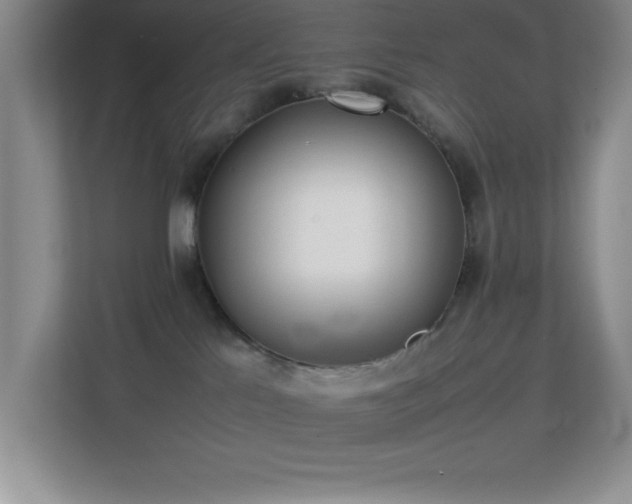 X0000113870041200909241341