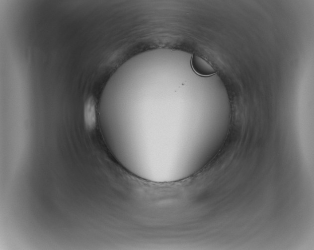 X0000113870042200909241341