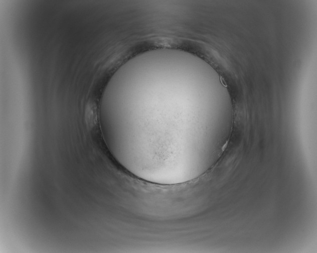 X0000113870043200909241341