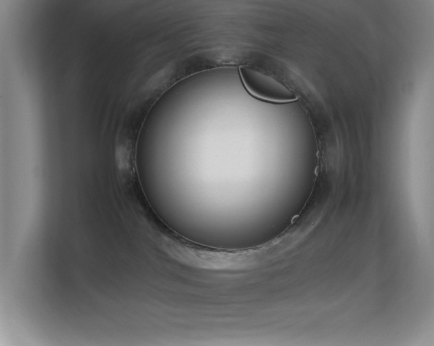 X0000113870044200909241341